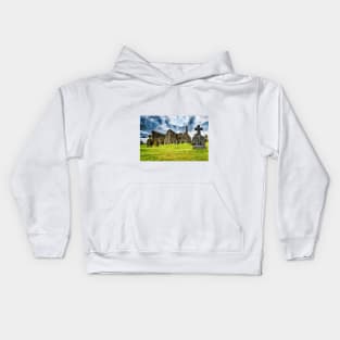 Clonmacnoise monastery ruins on the Shannon in Ireland Kids Hoodie